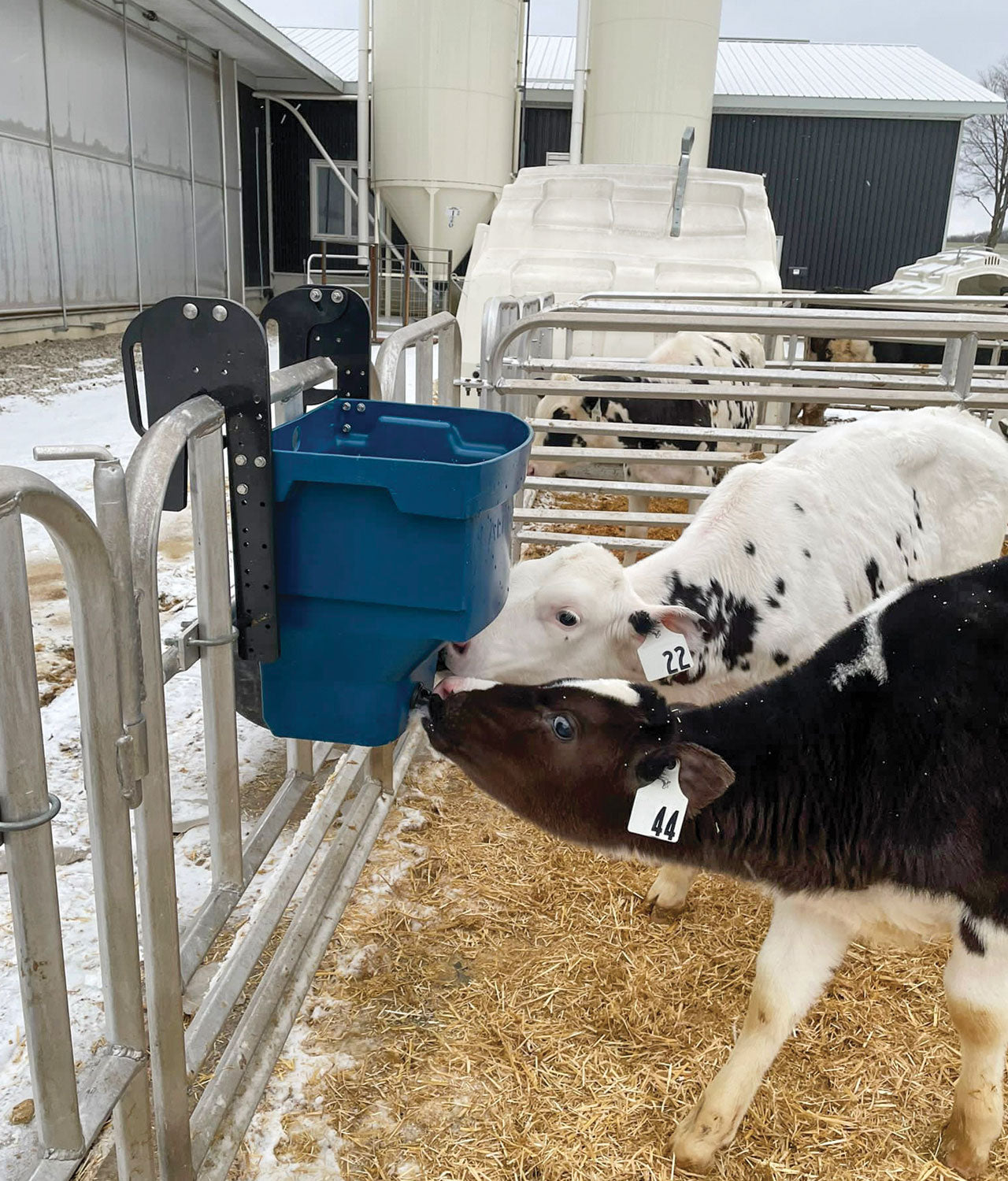 Milk Bar Calf Buddy 2-20L Feeder image 7