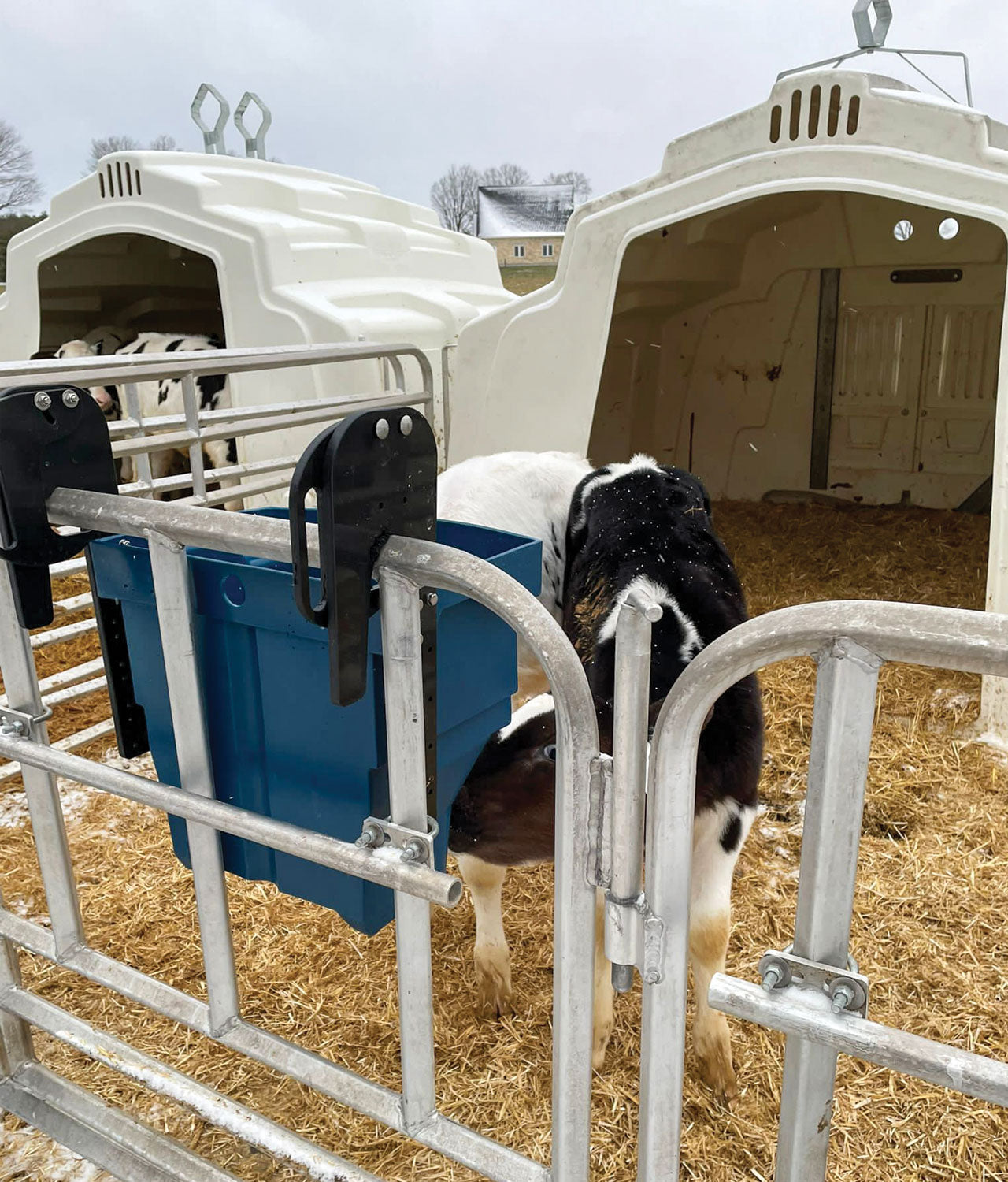 Milk Bar Calf Buddy 2-20L Feeder image 8