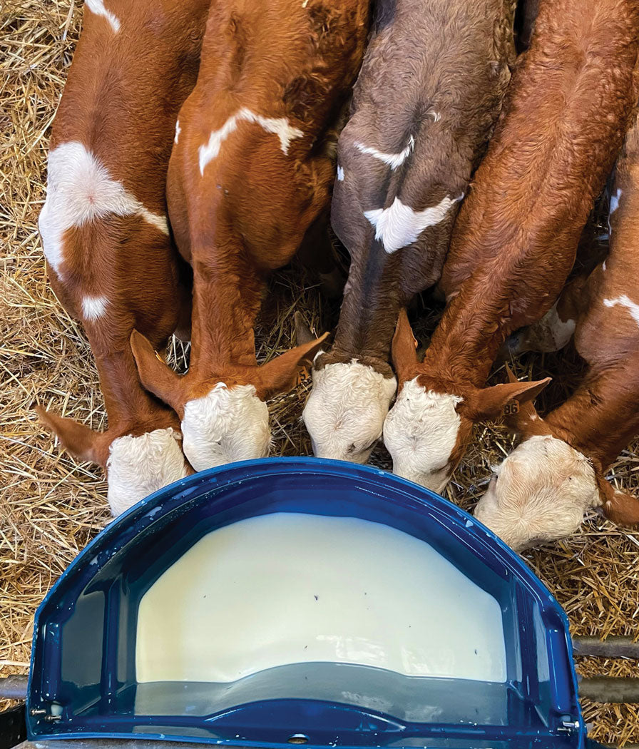 Milk Bar Calf Buddy 5-50L Feeder image 5