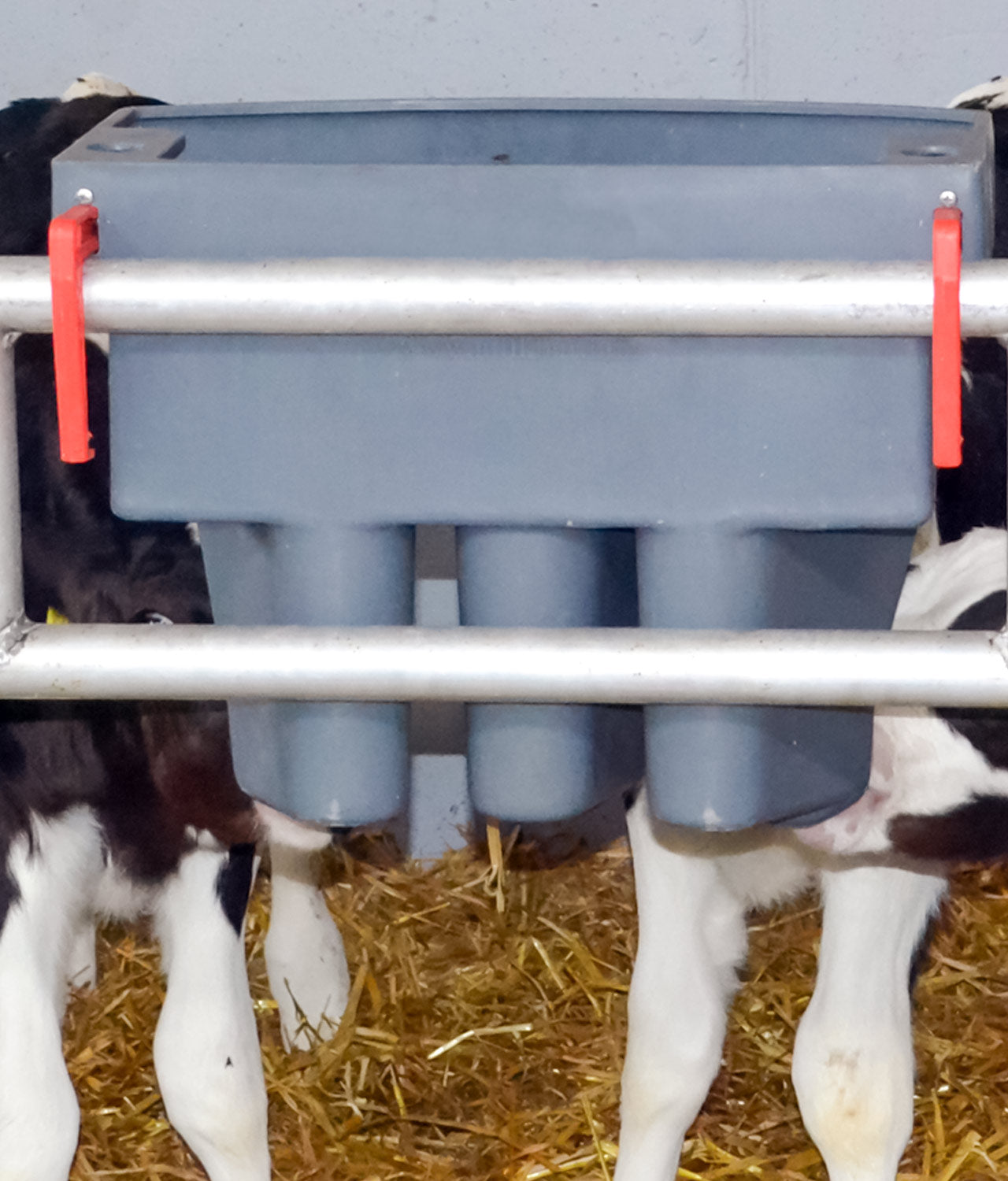 Milk Bar 3 Compartment Feeder image 1