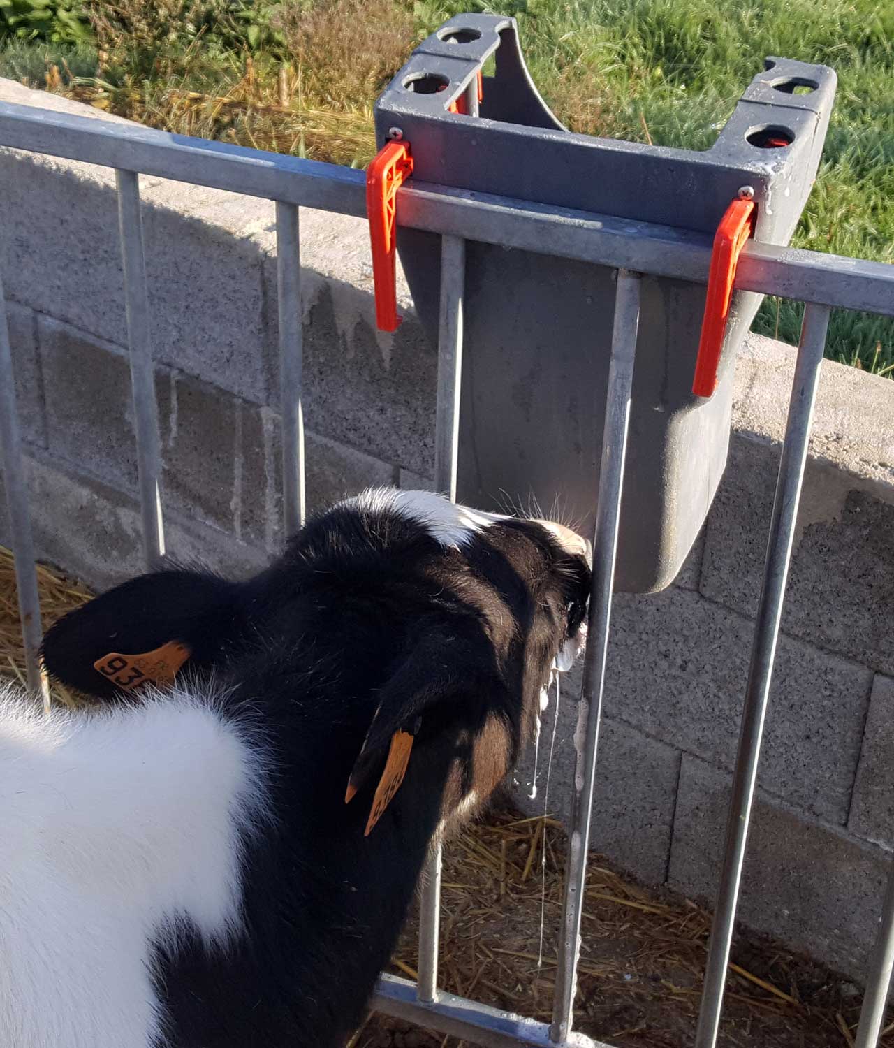 Milk Bar 1 Ezi Lock 8L - Outside Pen image 1