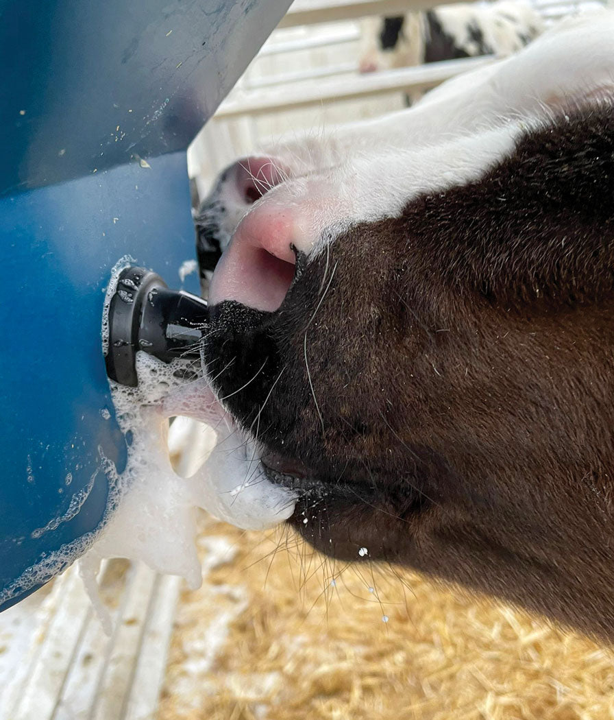 Milk Bar Calf Buddy 2-20L Feeder image 10