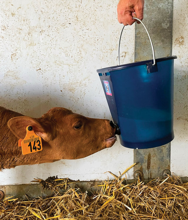 Milk Bar Calf Buddy 1-9L Feeder image 4